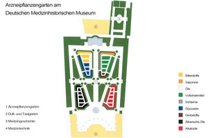 Bild vergr&ouml;&szlig;ern: Der Arzneipflanzengarten am Deutschen Medizinhistorischen Museum