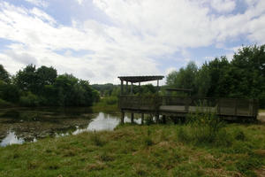 Bild vergr&ouml;&szlig;ern: Die Einbogenlohe in Spitalhof