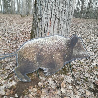 Bild vergr&ouml;&szlig;ern: Pirschpfad im Wildpark am Baggersee