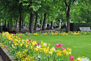 Bild vergr&ouml;&szlig;ern: Westfriedhof