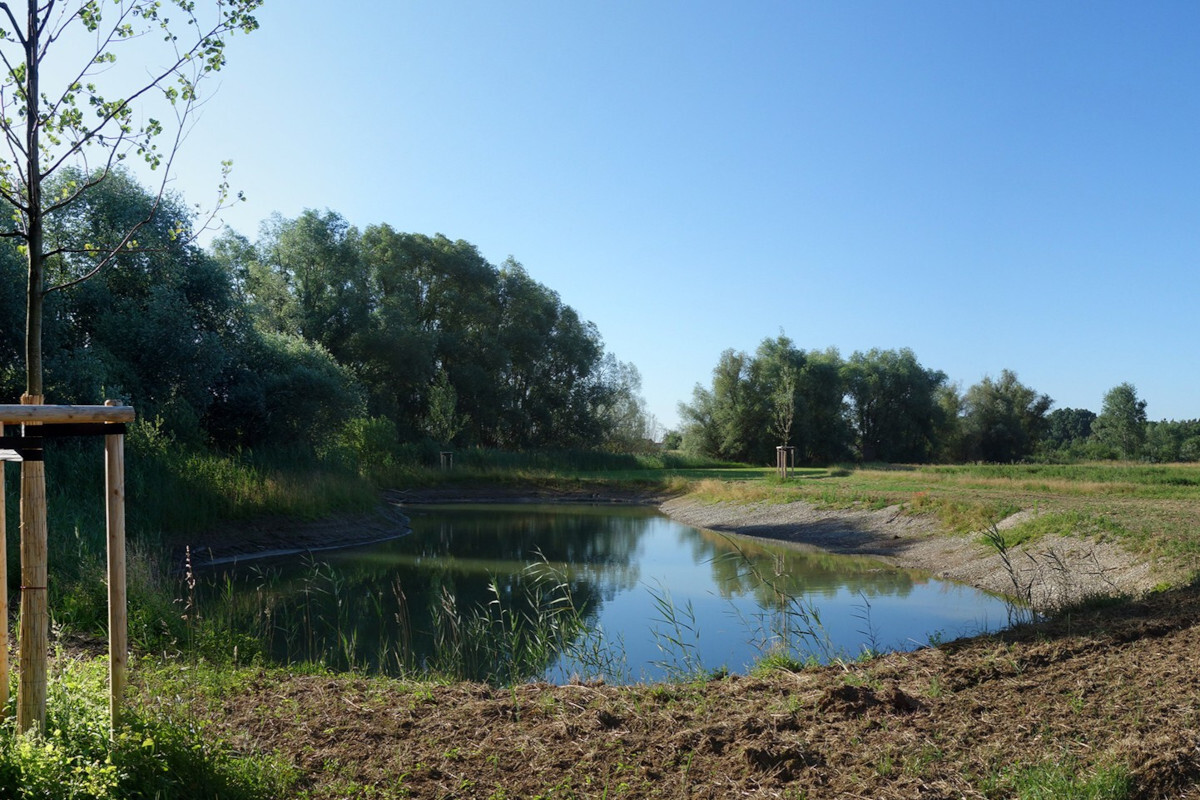 Einbogenlohe - naturnahes, grundwassergespeistes Stillgew&auml;sser im Lohenbogen von Spitalhof, das sich in den kommenden Jahren zu einem Gew&auml;sserbiotop entwickeln soll.
