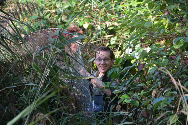 Freiwilliges &Ouml;kologisches Jahr