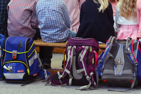 Grundschulen & weiterf&uuml;hrende Schulen