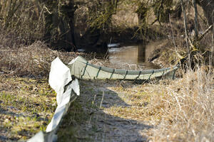 Kr&ouml;tenzaun in Spitalhof