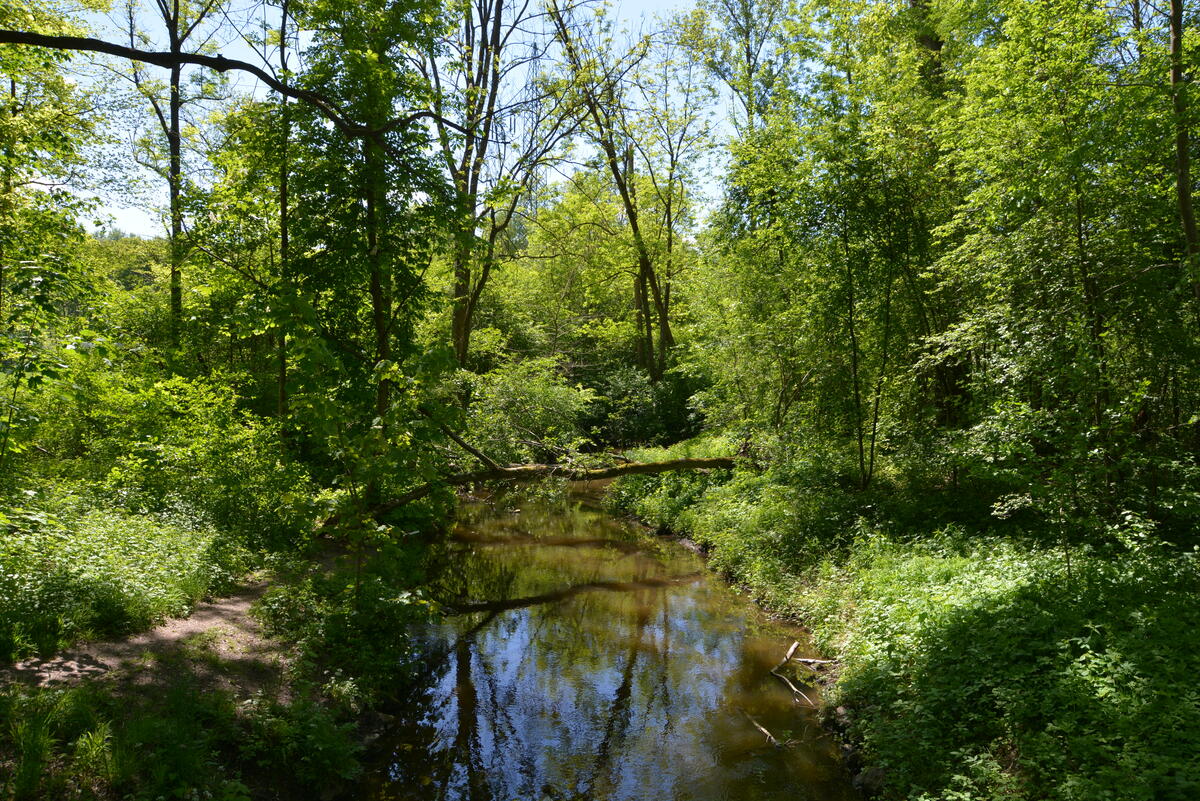 Biotop- & Landschaftspflege - der Ludl