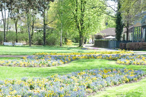 Bild vergr&ouml;&szlig;ern: Schwarzer Weg