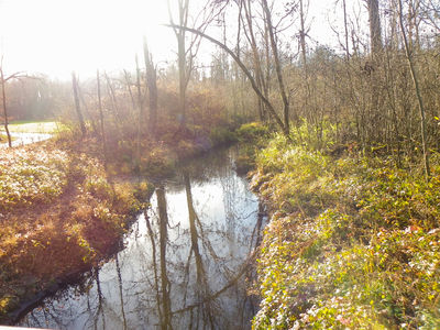 Bild vergr��ern: NUBI - Biotoperlebnispfad