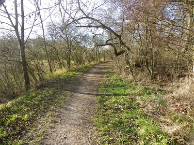 Bild vergr��ern:  NUBI - Biotoperlebnispfad - Pfad