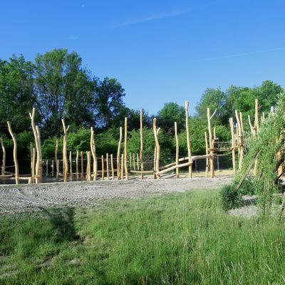 Bild vergr&ouml;&szlig;ern: Donaustrand Kletterwald - Projekt aus dem B&uuml;rgerhaushalt 