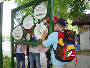 Bild vergr&ouml;&szlig;ern: Schulexkursion - Station 4